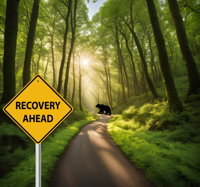Bear on road with sign "Recovery Ahead."